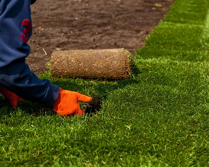 turf-installation