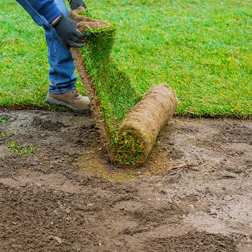 turf-installed